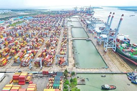 Vì sao Container Việt Nam (VSC) quyết thoái toàn bộ vốn tại Cảng PTSC Đình Vũ?
