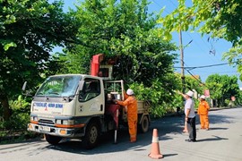 Tổng công ty Điện lực miền Bắc sẵn sàng các phương án phòng chống bão Yagi