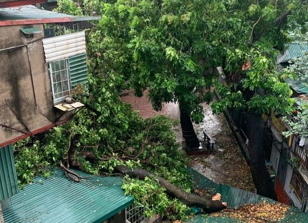 Điện lực Hà Nội bác thông tin cắt điện toàn thành phố vào tối 7/9