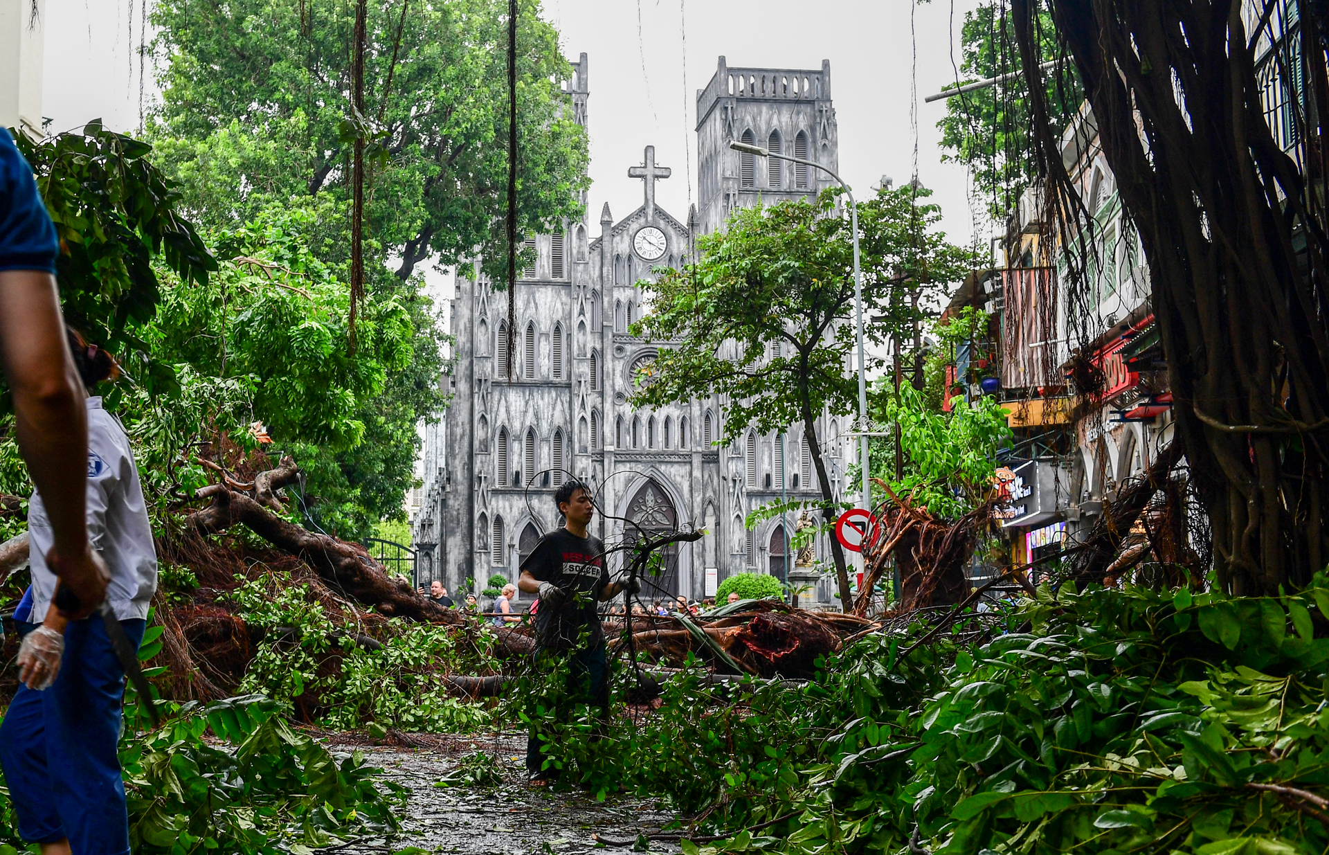 Hà Nội dọn dẹp cây đổ sau khi bão số 3 đi qua