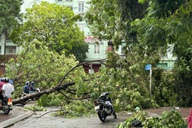 Bước đầu xác định 5 người thiệt mạng, 186 người bị thương do bão Yagi
