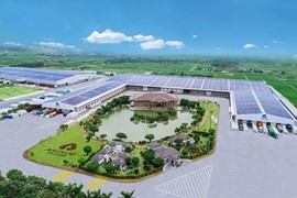 An Phát Holdings bất ngờ điều chỉnh giảm kế hoạch kinh doanh, Chủ tịch Phạm Ánh Dương xin từ nhiệm