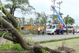 EVN nỗ lực đảm bảo cung cấp điện cho khách hàng sau cơn bão số 3