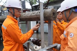 PC Quảng Ninh: Quyết liệt làm rõ trách nhiệm, dồn lực khắc phục để bảo đảm cung cấp điện