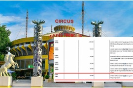 Liên đoàn Xiếc Việt Nam phủ nhận thông tin ủng hộ đồng bào vùng bão lũ 10.000 đồng