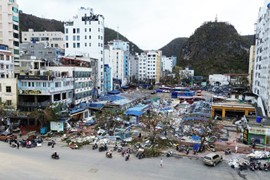 Điều kiện để khách hàng bị ảnh hưởng bão Yagi được giảm lãi vay, cơ cấu nợ?