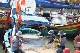 Top 5 "ngôi sao" thủy sản tỏa sáng trong 8 tháng đầu năm 2024