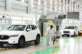 Phát huy vai trò các doanh nghiệp lớn