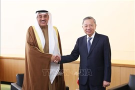 Tổng Bí thư, Chủ tịch nước Tô Lâm gặp lãnh đạo các nước