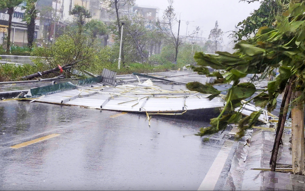 “Mất bò” mới lo mua bảo hiểm