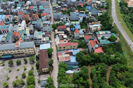 Quốc Oai đấu giá thành công 54 lô đất, giá trúng cao nhất hơn 50 triệu đồng/m2
