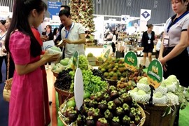 Hà Nội đẩy mạnh đưa nông sản sạch lên sàn thương mại điện tử