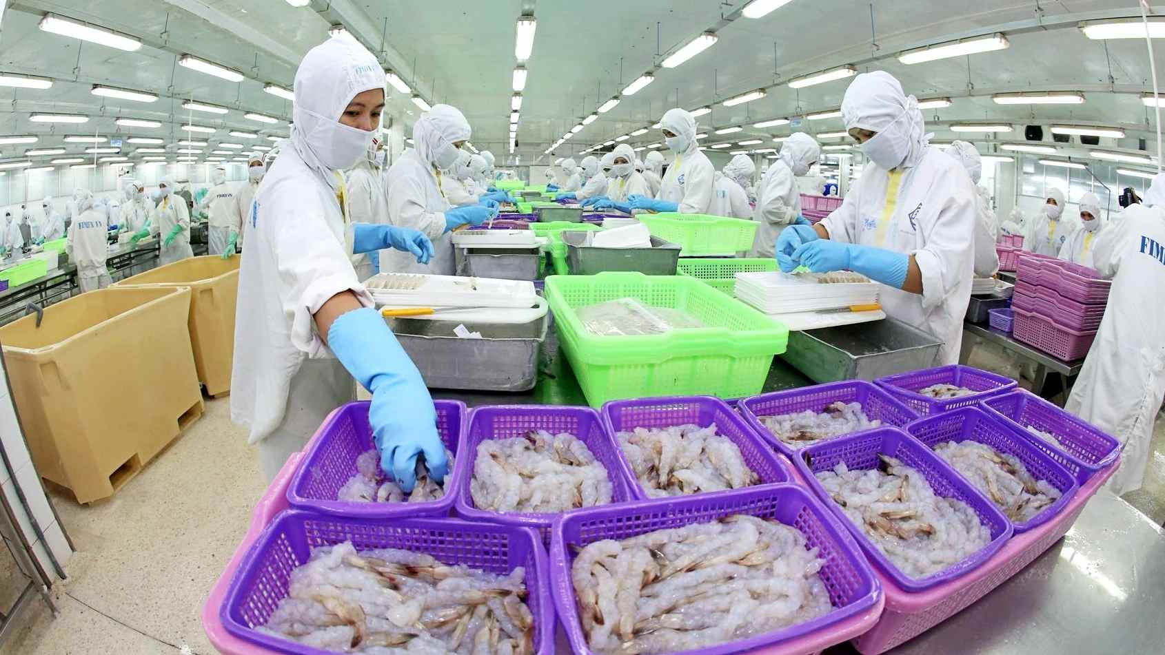 Thực phẩm Sao Ta (FMC): Doanh thu lập kỷ lục, đã trích trước chi phí thuế chống bán phá giá