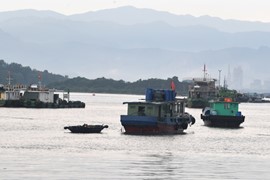 Quảng Ninh cùng cả nước gỡ 'thẻ vàng' IUU