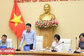 Phát triển Khu Thương mại tự do - Công cụ chiến lược thu hút đầu tư nước ngoài, tăng cường xuất khẩu
