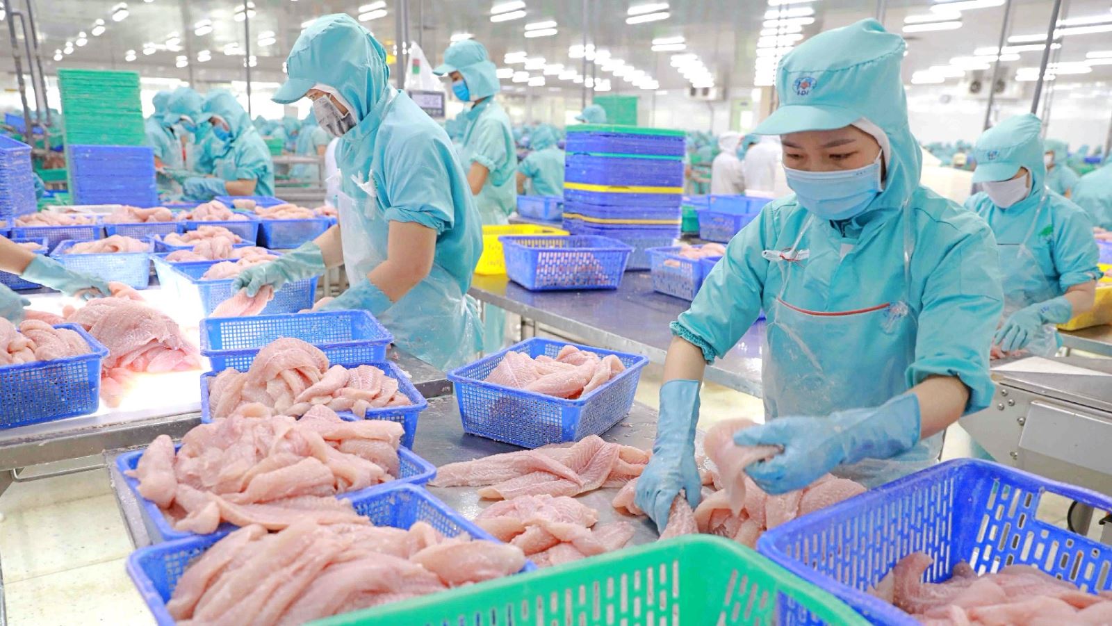 Giá cước tàu tăng cao, Đa Quốc Gia IDI có thể vỡ kế hoạch năm nay