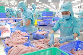 Giá cước tàu tăng cao, Đa Quốc Gia IDI có thể vỡ kế hoạch năm nay
