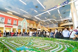 Tập đoàn Novaland (NVL) xin được cấp lại margin, gỡ cảnh báo đối với cổ phiếu