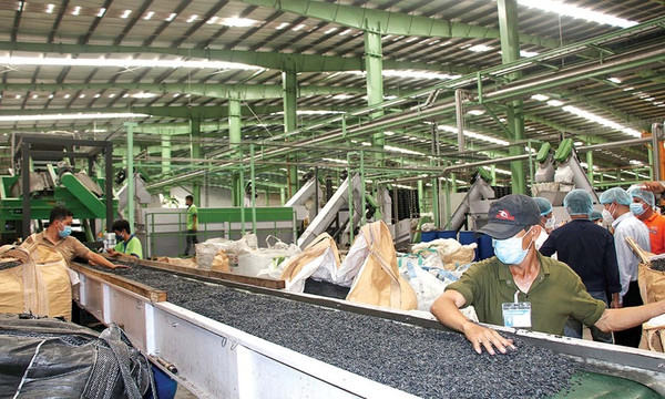 Tỷ lệ tái chế chất thải của Việt Nam chỉ khoảng 10%