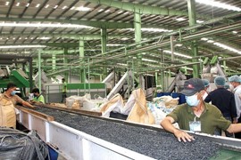 Tỷ lệ tái chế chất thải của Việt Nam chỉ khoảng 10%