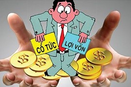 Mưa cổ tức hàng trăm tỷ đồng sắp rơi vào túi cổ đông bảo hiểm
