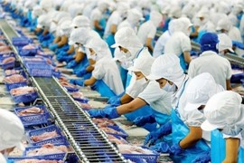 Nữ hoàng cá tra Vĩnh Hoàn: Càng về cuối năm càng 'tươi'