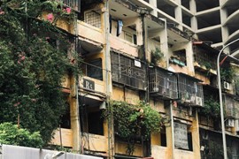 Trong tháng 12/2024 phải quy hoạch 1/500 khu tập thể Thành Công, Ngọc Khánh, Giảng Võ