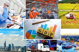 2025 sẽ đầy thử thách với kinh tế và chứng trường Việt Nam