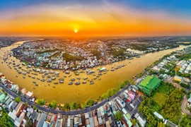 Cần Thơ chấn chỉnh hoạt động đấu giá đất tránh tình trạng lợi dụng để trục lợi, gây nhiễu loạn thị trường