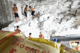 Xuất khẩu gạo 2025 gặp nhiều thách thức
