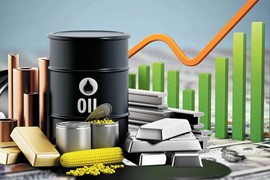 Giá hàng hóa biến động báo hiệu một năm 2025 đầy thách thức