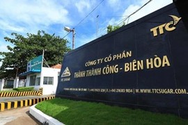 SBT phát hành thêm 74 triệu cổ phiếu để chi trả cổ tức