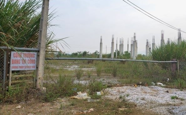 Nợ thuế hàng chục tỷ đồng, Công ty Anh Phương Sài Gòn bị dừng làm thủ tục hải quan