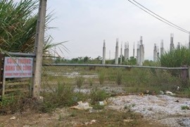 Nợ thuế hàng chục tỷ đồng, Công ty Anh Phương Sài Gòn bị dừng làm thủ tục hải quan