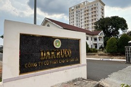 Đang ăn nên làm ra, lãnh đạo Cao su Đắk Lắk bất ngờ thoái sạch vốn