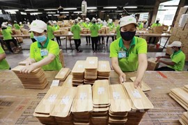 Cổ phiếu ngành gỗ sắp đón "bão"