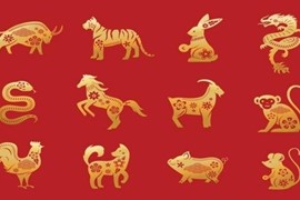 Tử vi vui 12 con giáp ngày 5/3: 4 con giáp có vận may khởi sắc, sự nghiệp thăng tiến