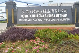 Công ty TNHH Giầy Annora Việt Nam bị truy thu thuế hơn 3 tỷ đồng