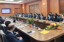 Khi đa dạng trở thành sức mạnh quản trị ở Vinare