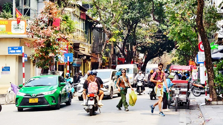 Biển báo, đèn tín hiệu “đánh đố” người đi đường