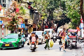 Biển báo, đèn tín hiệu “đánh đố” người đi đường