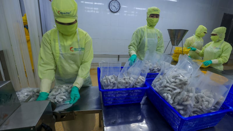 Xuất khẩu tôm lạc quan với mục tiêu 4,5 tỷ USD