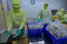 Xuất khẩu tôm lạc quan với mục tiêu 4,5 tỷ USD