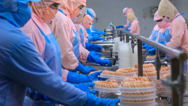 Xuất khẩu tôm Việt Nam 'chạy nước rút' trước bão thuế quan