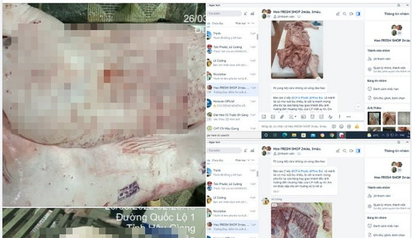 Công ty C.P. Việt Nam phản hồi gì sau khi bị “tố” trà trộn heo bệnh, gà bệnh vào sản xuất