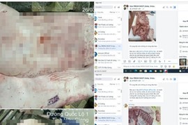 Công ty C.P. Việt Nam phản hồi gì sau khi bị “tố” trà trộn heo bệnh, gà bệnh vào sản xuất