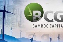 Bamboo Capital thay đổi loạt nhân sự cấp cao, tăng quyền kiểm soát tại Tracodi, BCG Energy