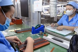 Bộ Tài chính cảnh báo lỗ hổng giúp doanh nghiệp FDI trốn thuế