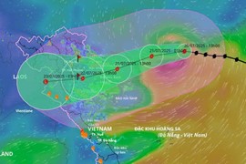 Thủ tướng yêu cầu hạn chế người dân ra đường khi bão số 3 đổ bộ
