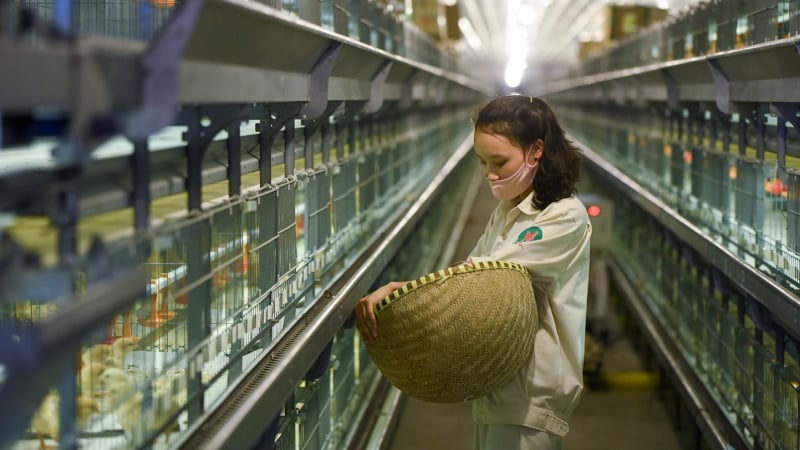 Nông lâm thủy sản trên đường tới 100 tỷ USD xuất khẩu